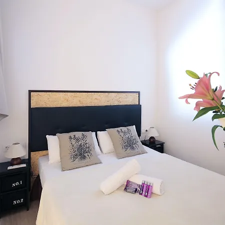 巴克尼斯旅馆 招待所 2*